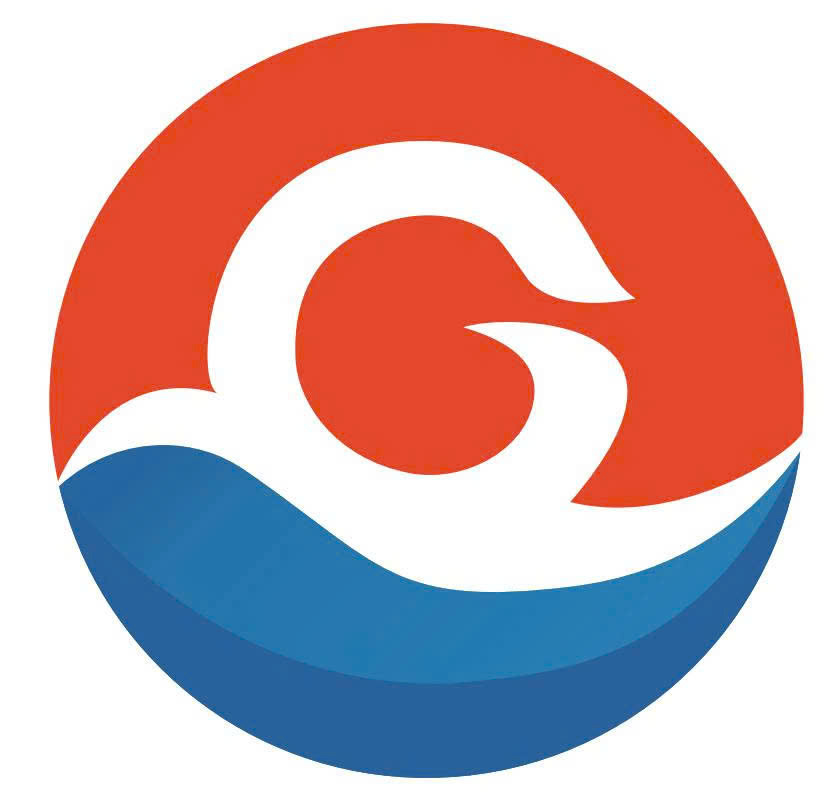 Logo CÔNG TY TNHH GENESIS AND FOCUS INDUSTRIAL